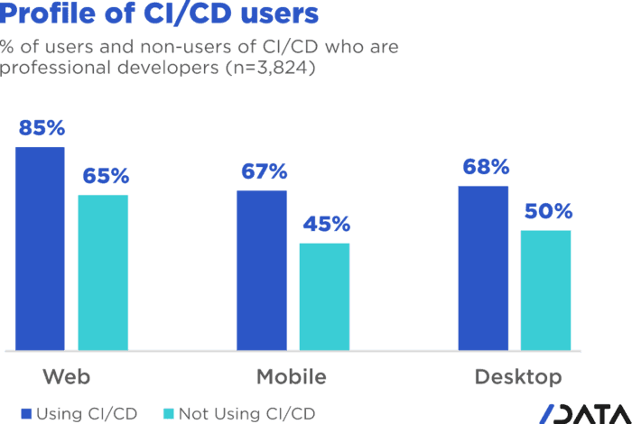 profile of ci/cd users